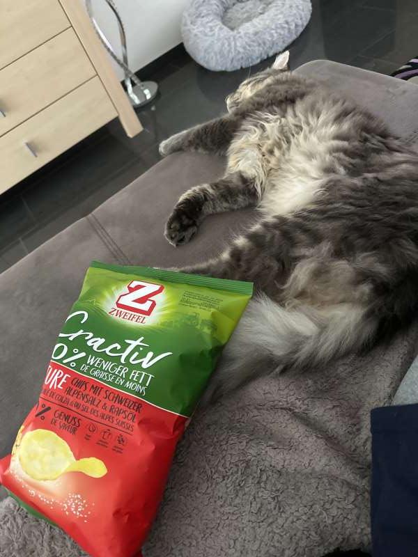 Patricia.G., Fulenbach