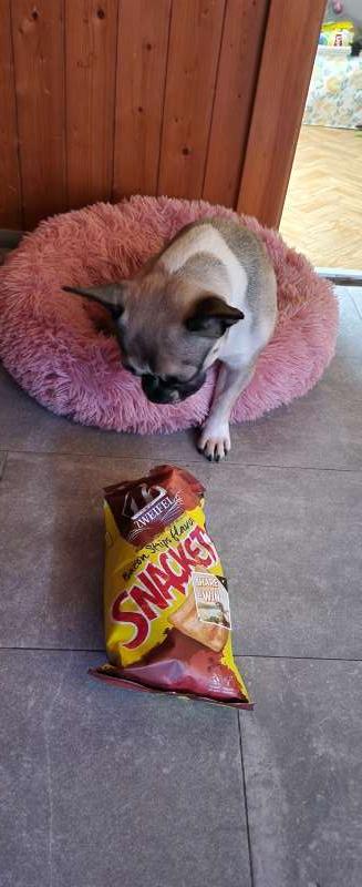 Alexandra.K., Eschenbach