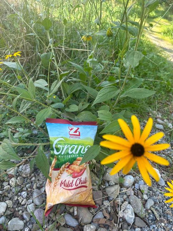 Argjira.T., Wohnquartier in St. Gallen