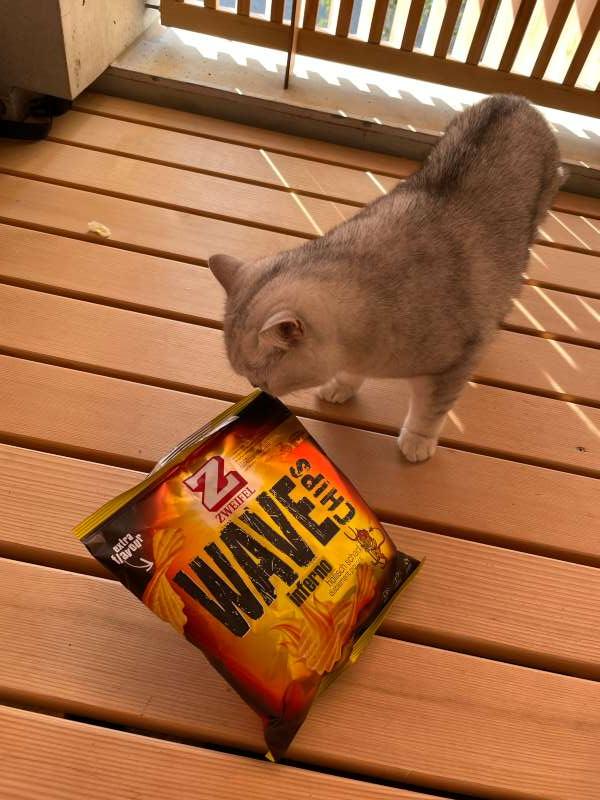 Boris.S., Zollikofen