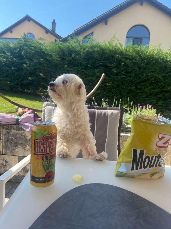 Bryan.W., Doudou et les chips