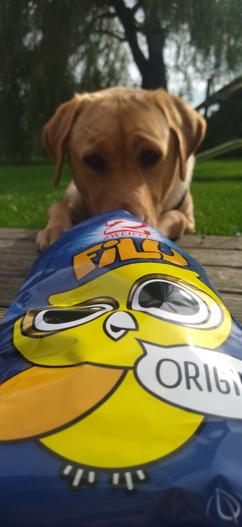 Luana.V., Sonnenbühl 8425 Oberembrach