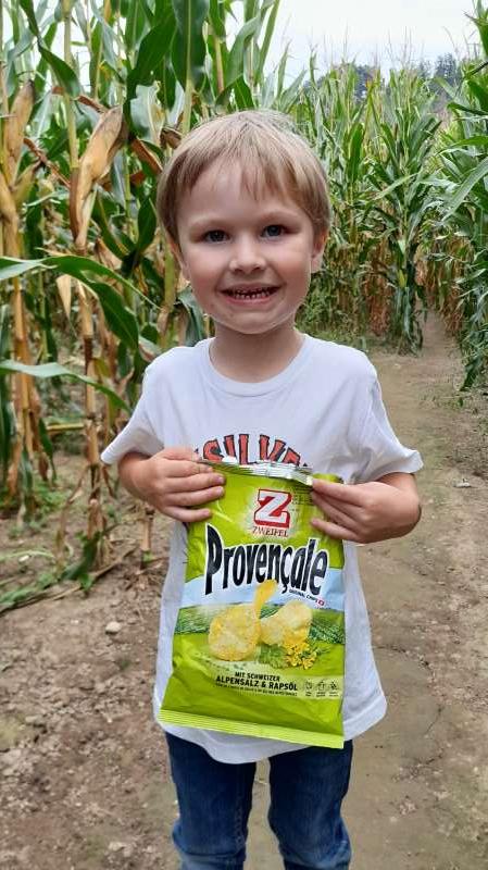 Fasel.D., Mais Labyrinth Laupen